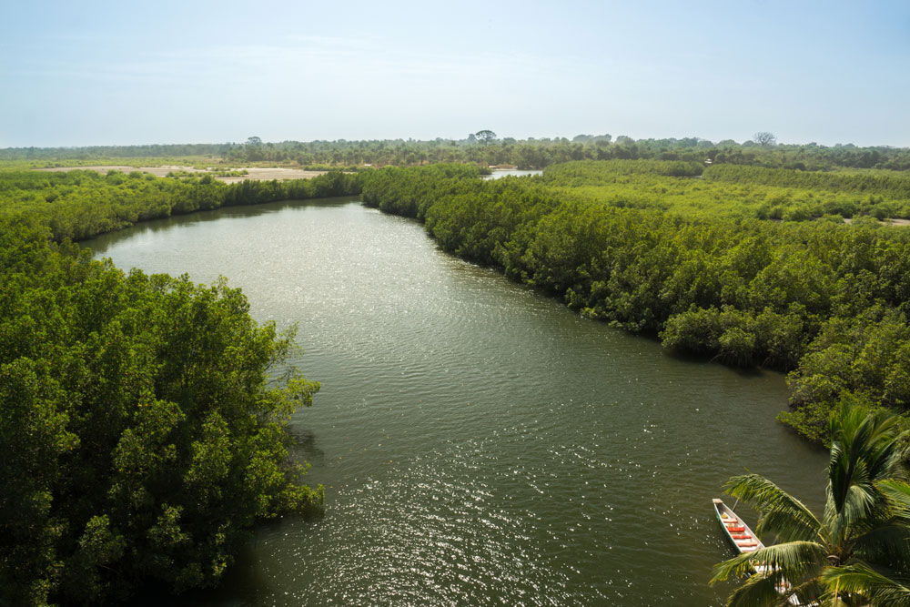 Gambia River